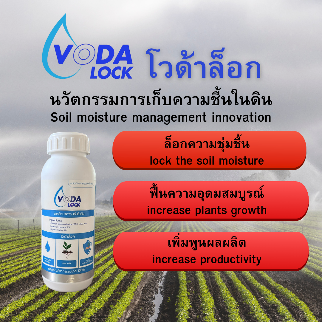 Voda 1
